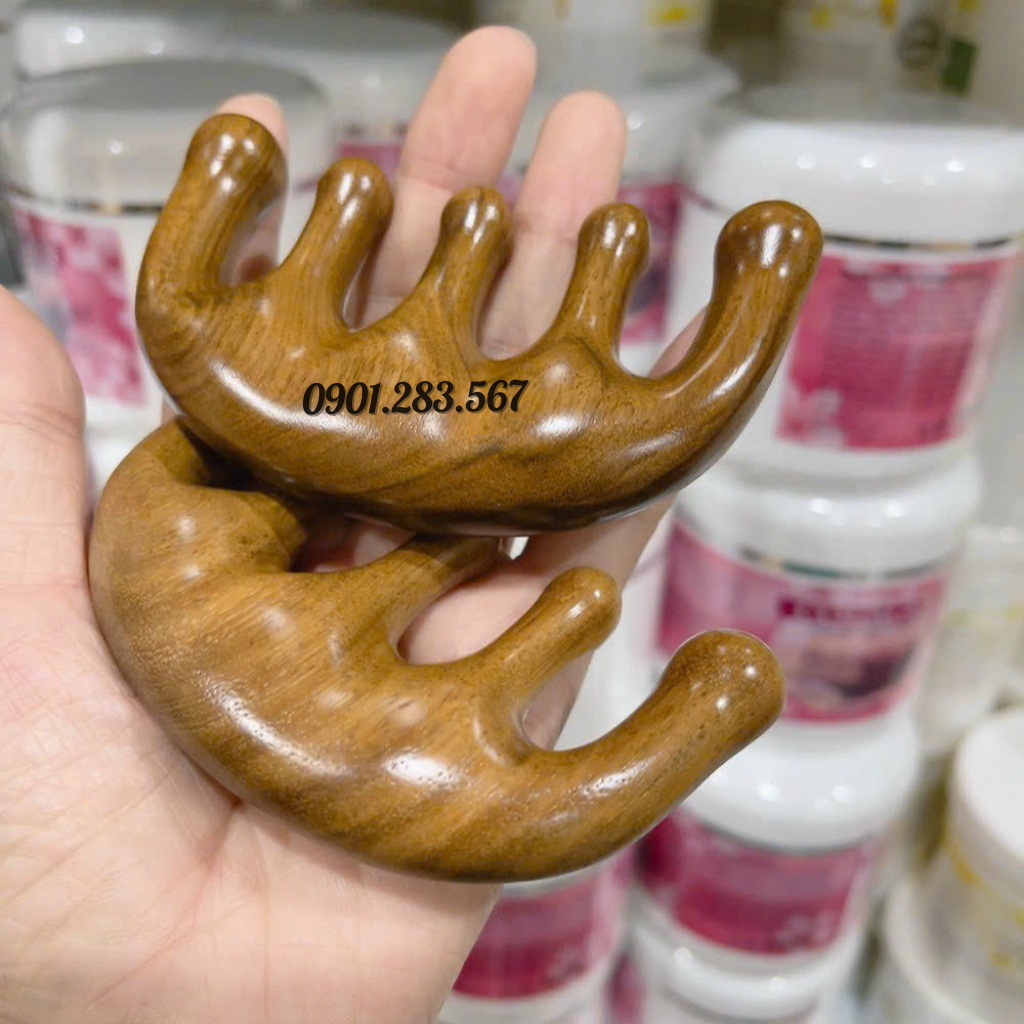 Ảnh 5