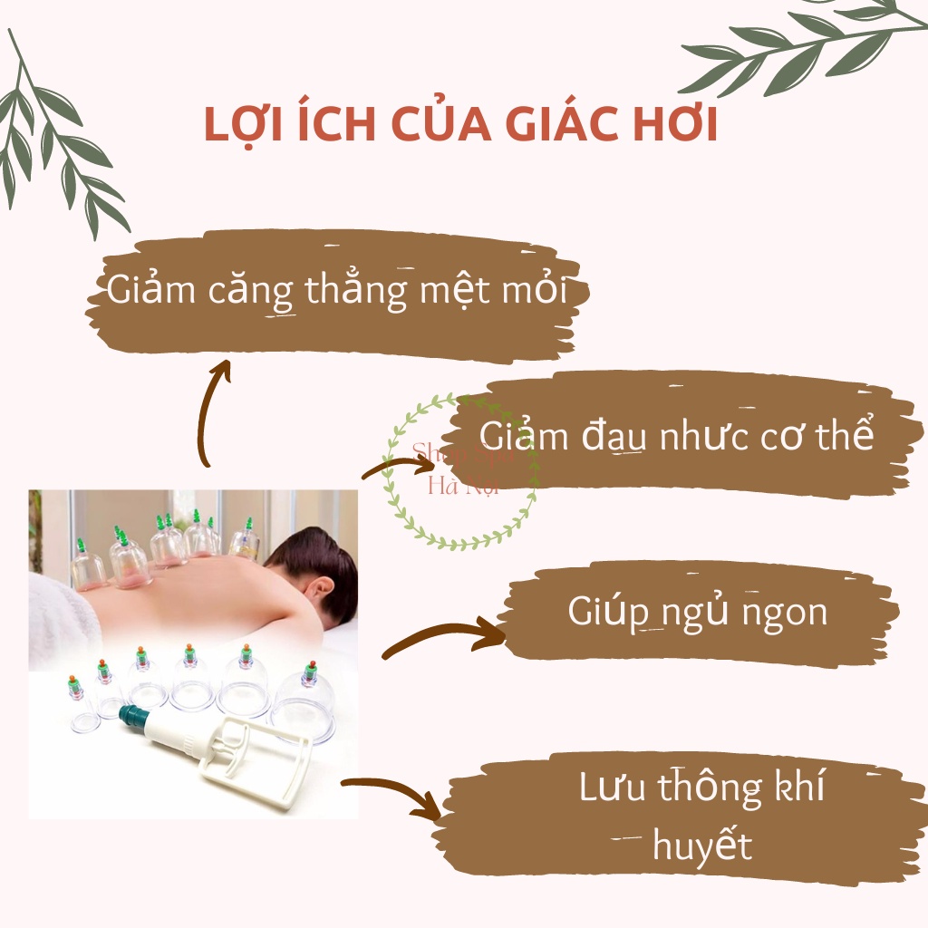 Ảnh 2