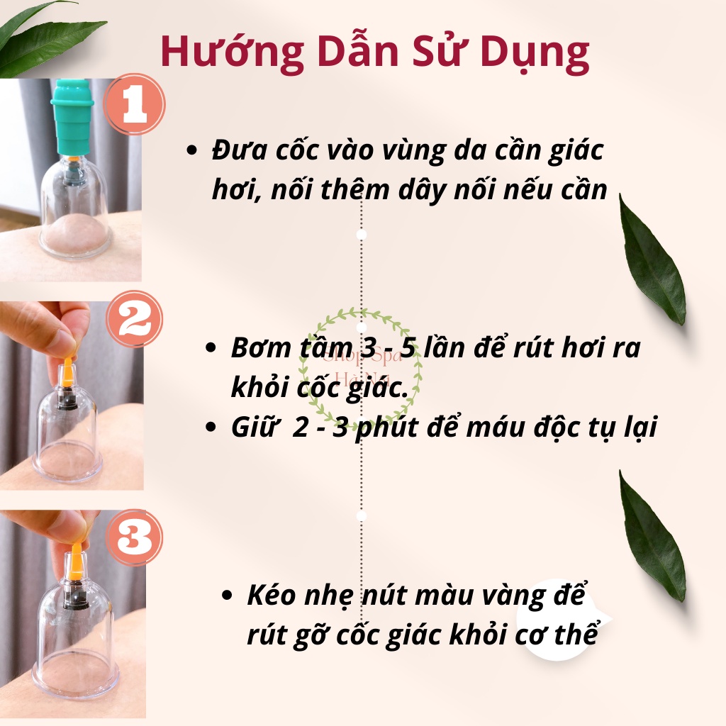 Ảnh 3