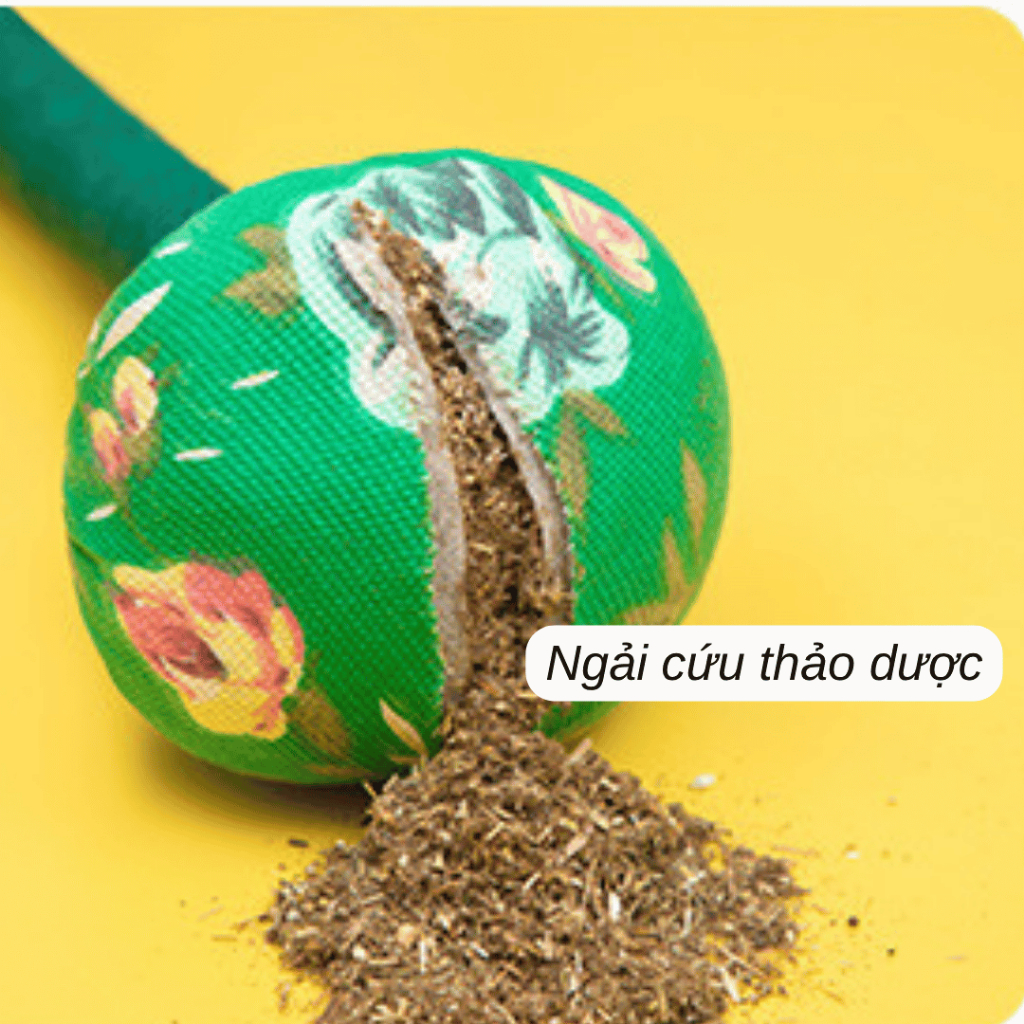 Ảnh 2
