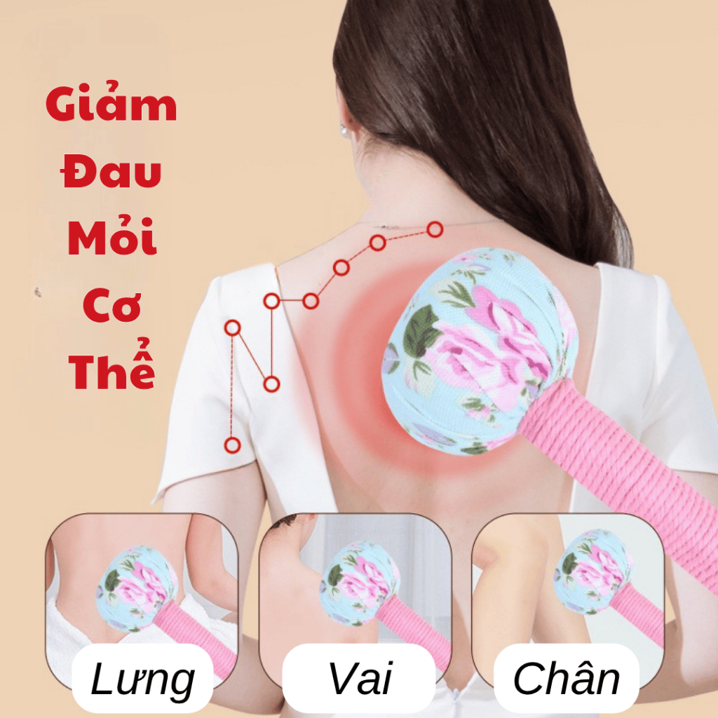 Ảnh 5