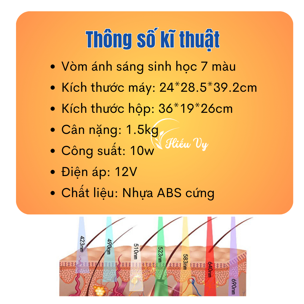 Ảnh 3