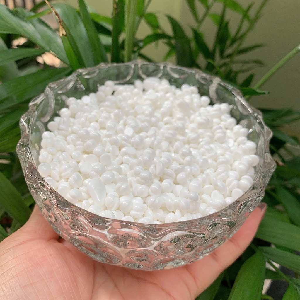 Ảnh 3