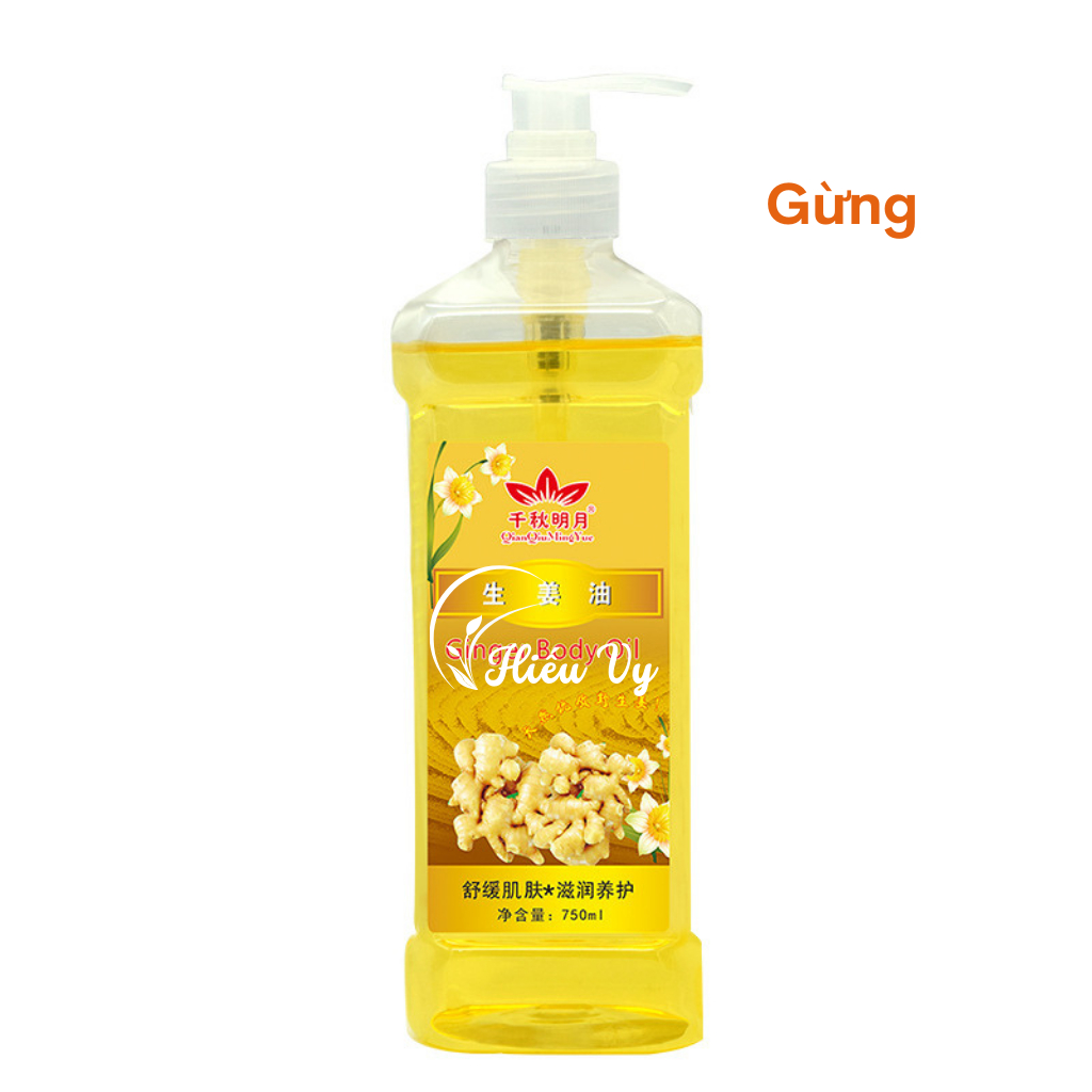 Gừng